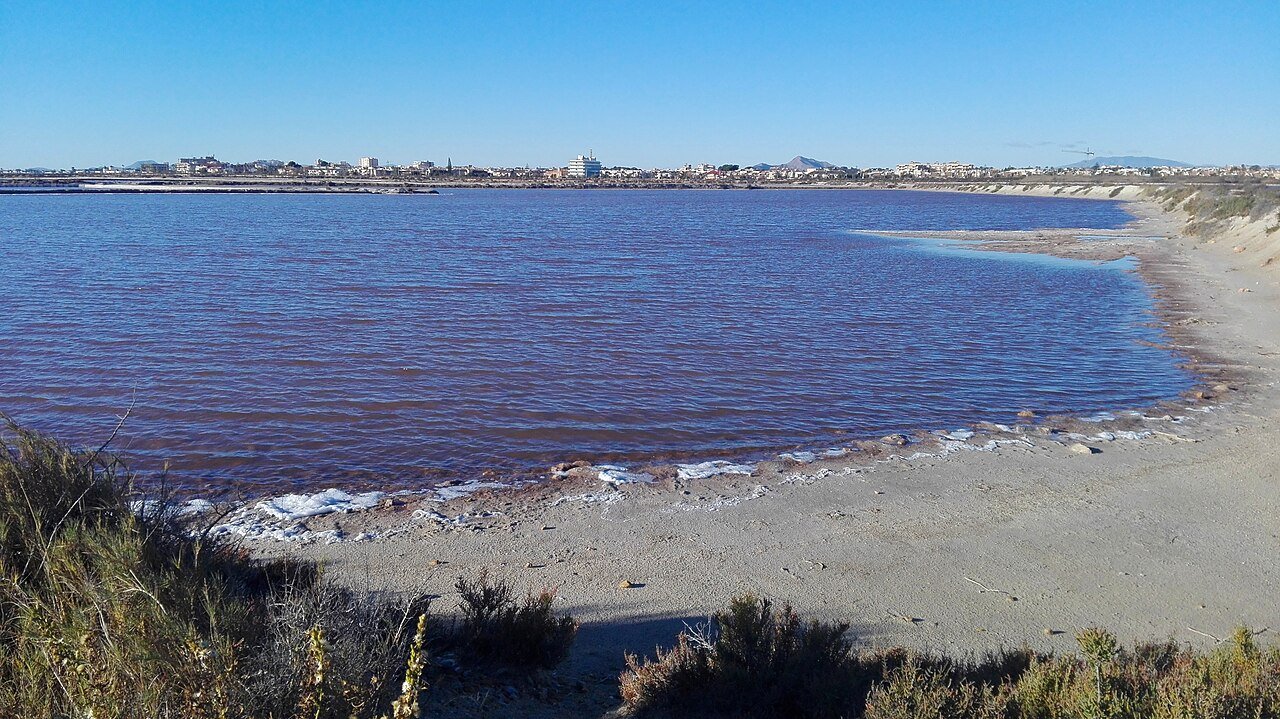 Salinas y Arenales de San Pedro del Pinatar
