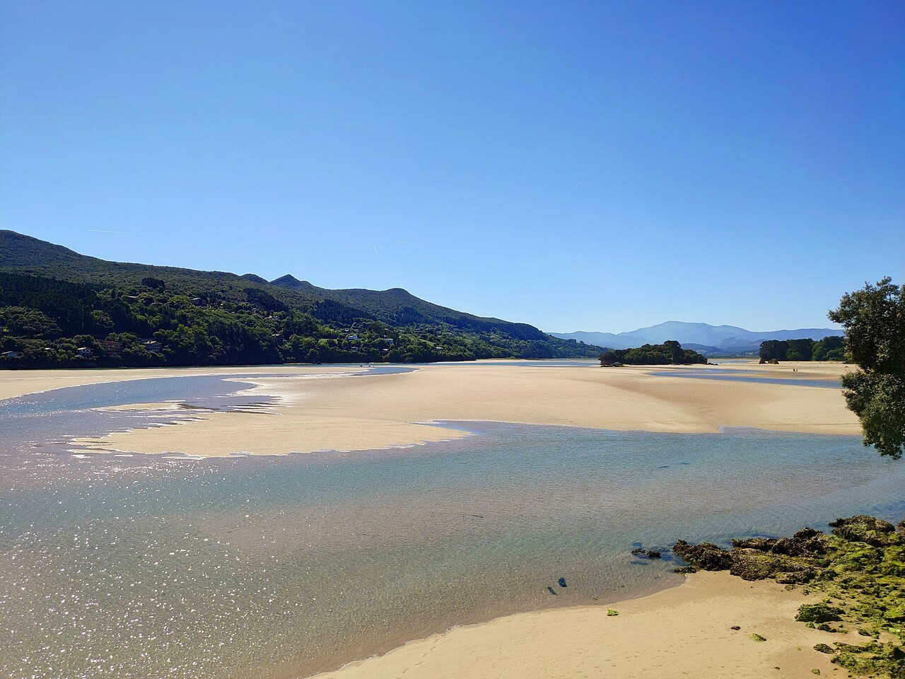 Urdaibai Bird Center