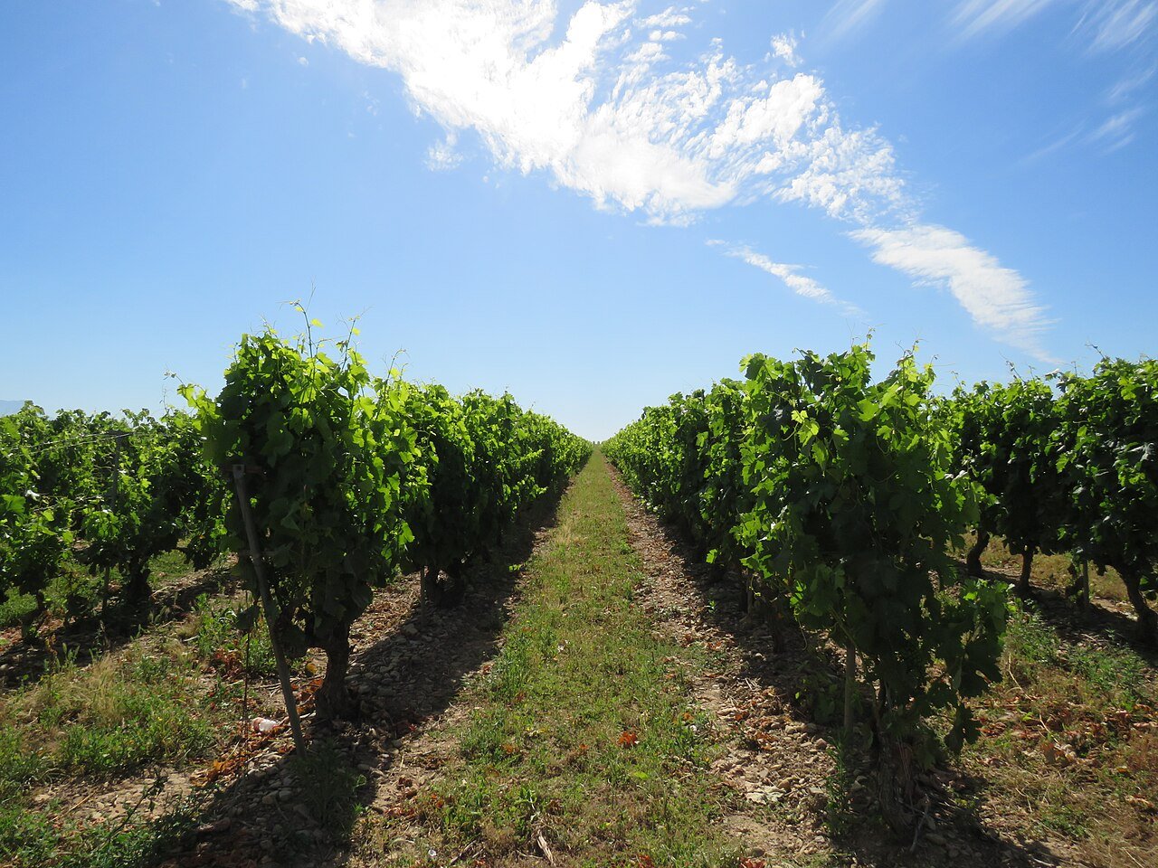 Bodegas de La Rioja